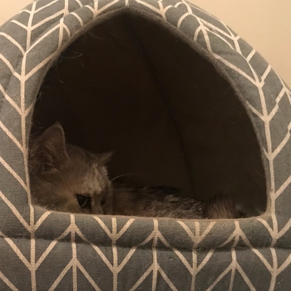 Meet your Posher, K - Picture 1 of 2